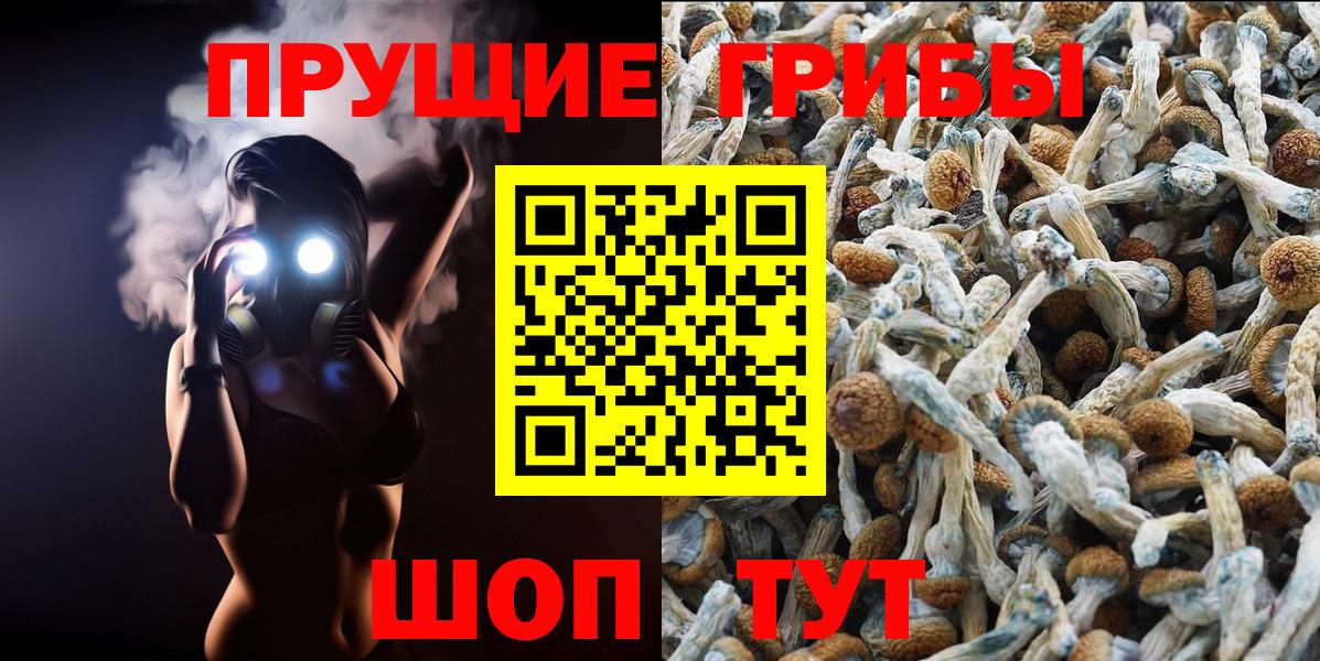 продажа наркотиков  Вход с VPN  Коломна  Галлюциногенные грибы прущие грибы 